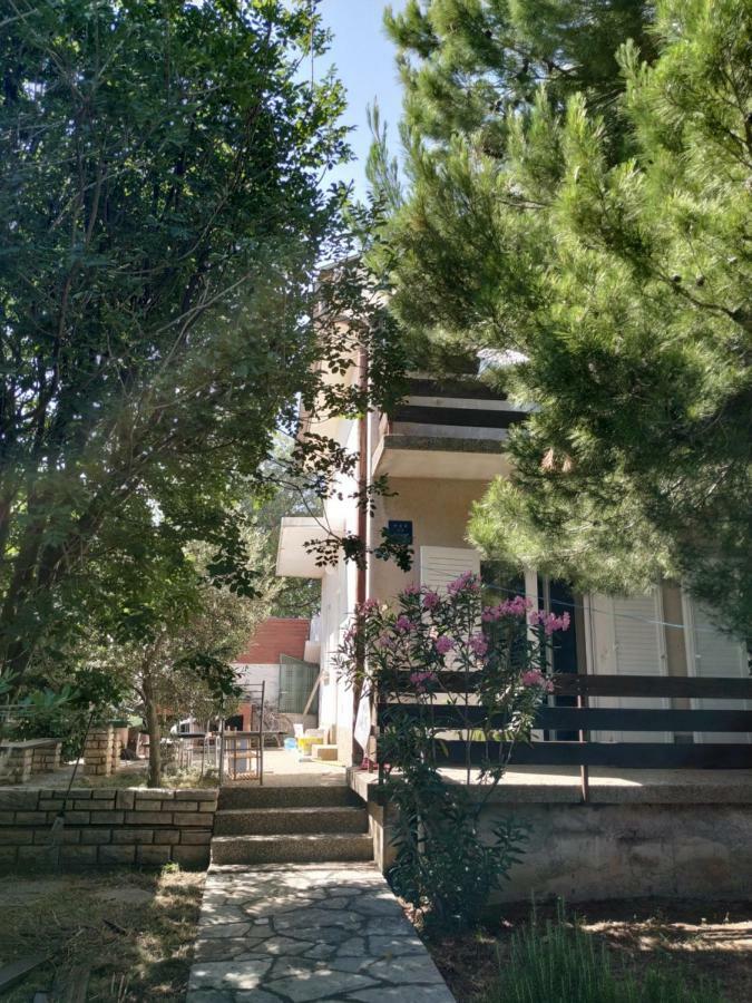 Danica Holiday House Cesarica Exterior photo