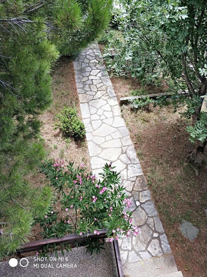 Danica Holiday House Cesarica Exterior photo